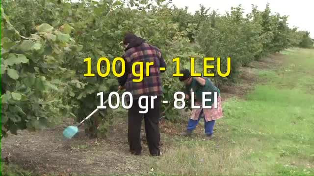 Sfaturile expertilor. In ce trebuie sa investiti pentru a va imbogati rapid din agricultura