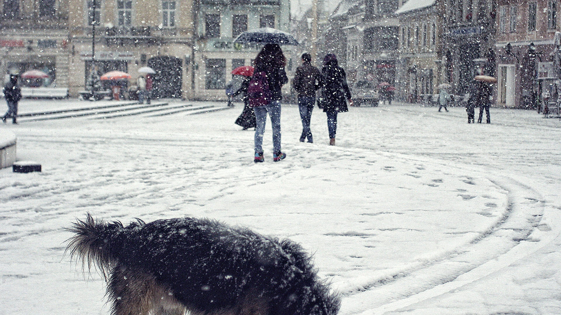 Brasov, 1 oct 2013 - 5