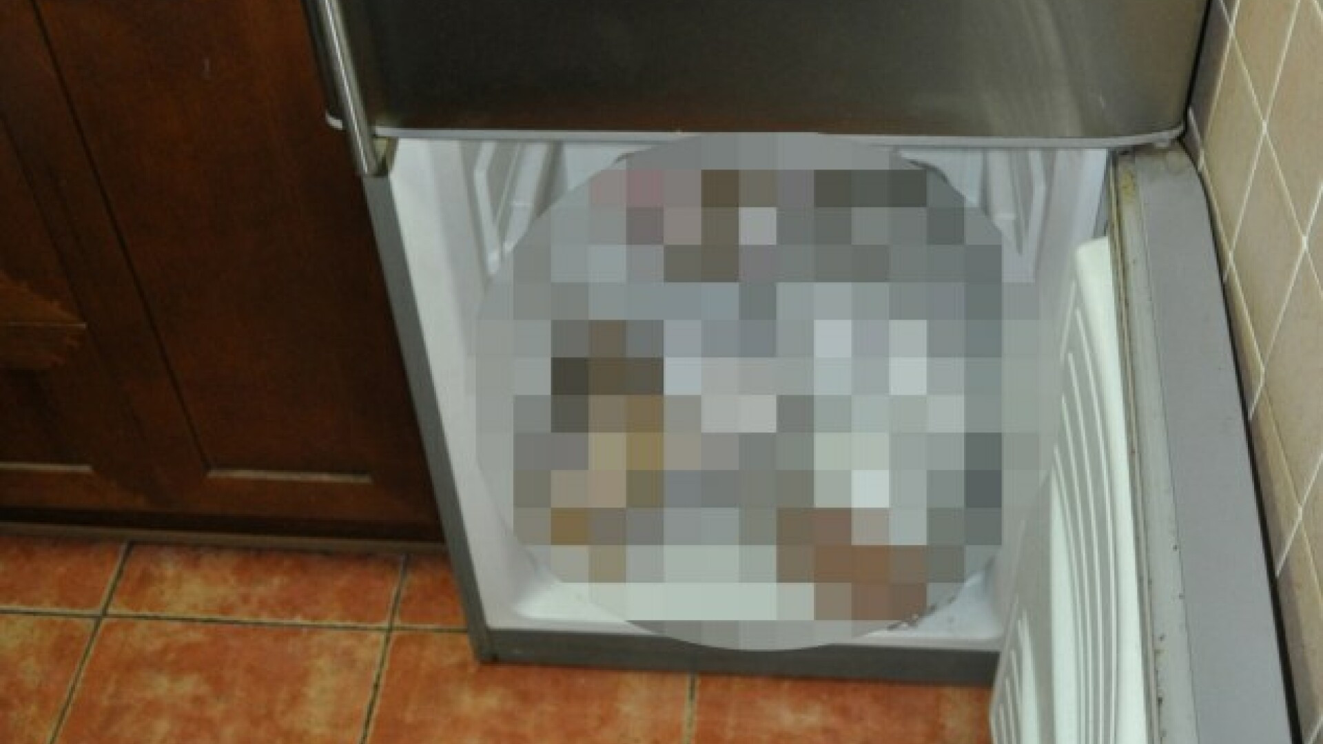 Doi bebelusi morti, gasiti in congelatorul unei femei din Spania. Ce a declarat mama in fata anchetatorilor