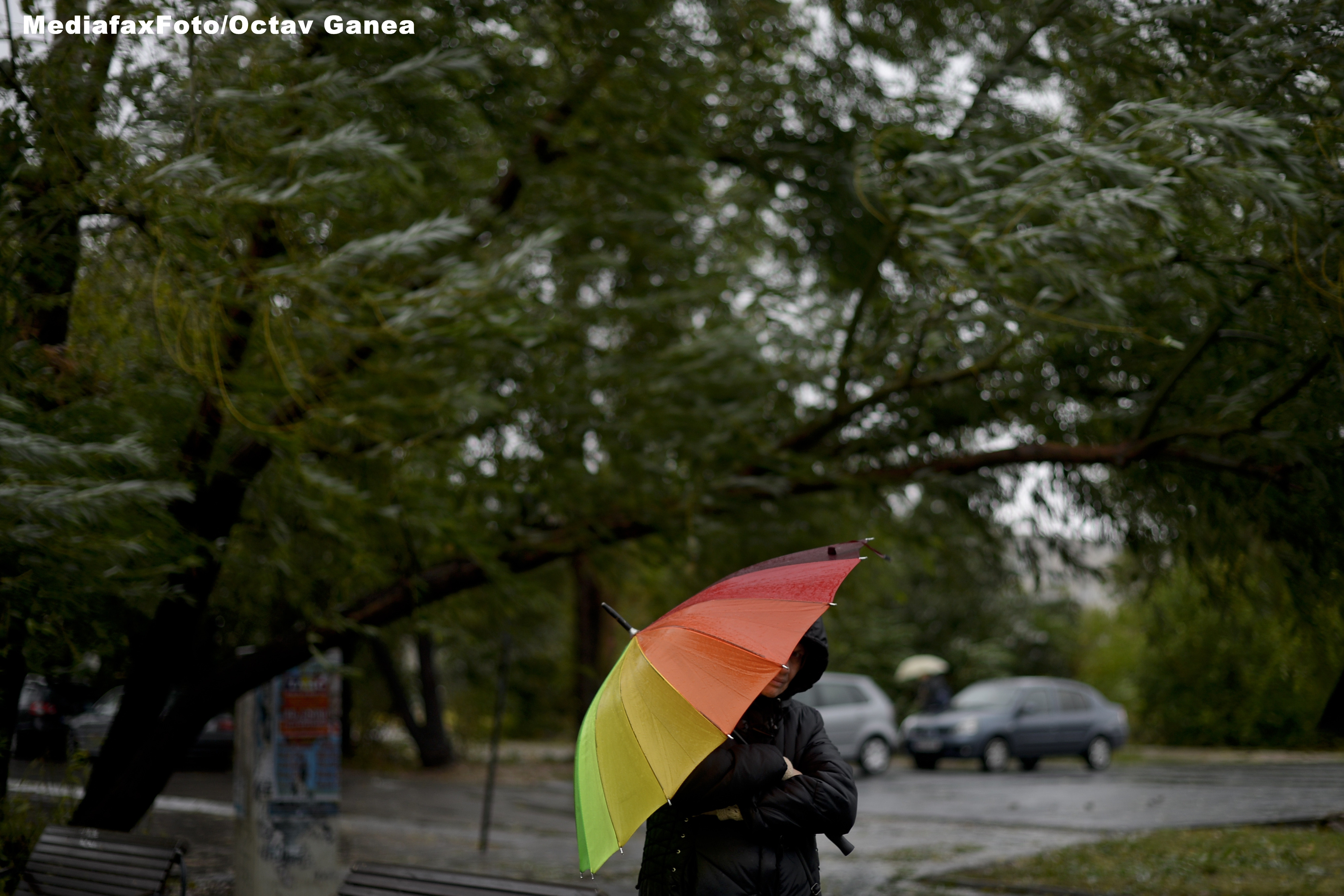 Temperaturi in scadere si ploi in toate zonele tarii. Prognoza meteo pana pe 24 noiembrie