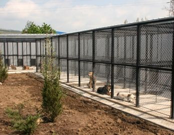 Se extinde centrul de ecarisaj din Cluj-Napoca. Investita depaseste 100.000 de euro