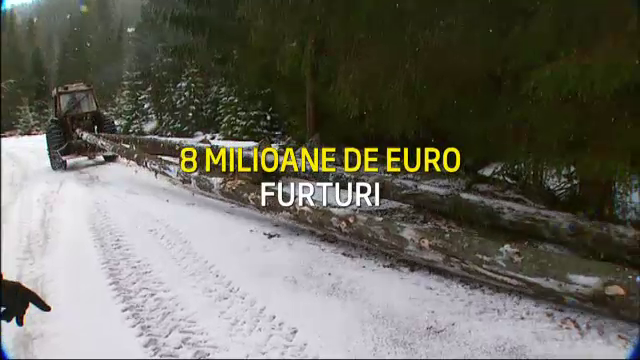 Codul care opreste jaful din padurile Romaniei. "Legea martiala" contra furturilor de 8 mil. de euro