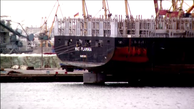 Nava Flaminia
