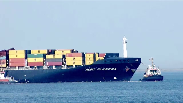 Nava Flaminia