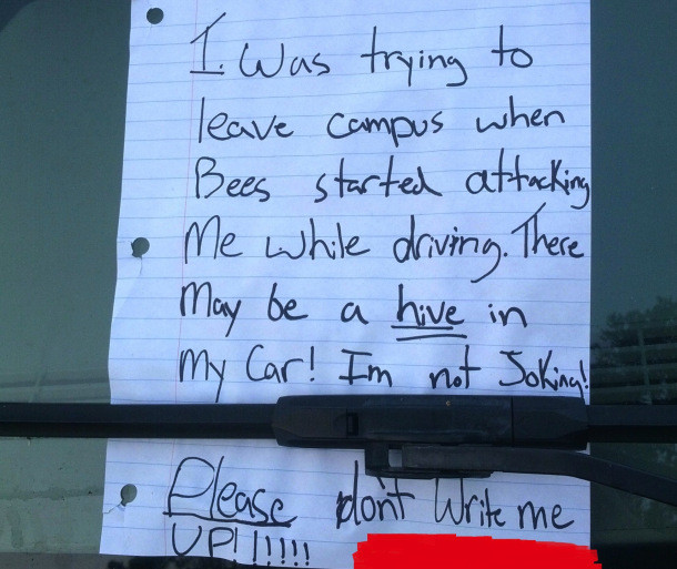 Cum a incercat sa scape acest sofer de amenda. Ce mesaj i-a lasat politistului in parbriz