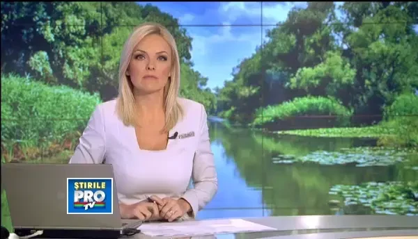 Ceata deasa a dus la producerea a doua accidente in doar 10 minute, in Delta Dunarii