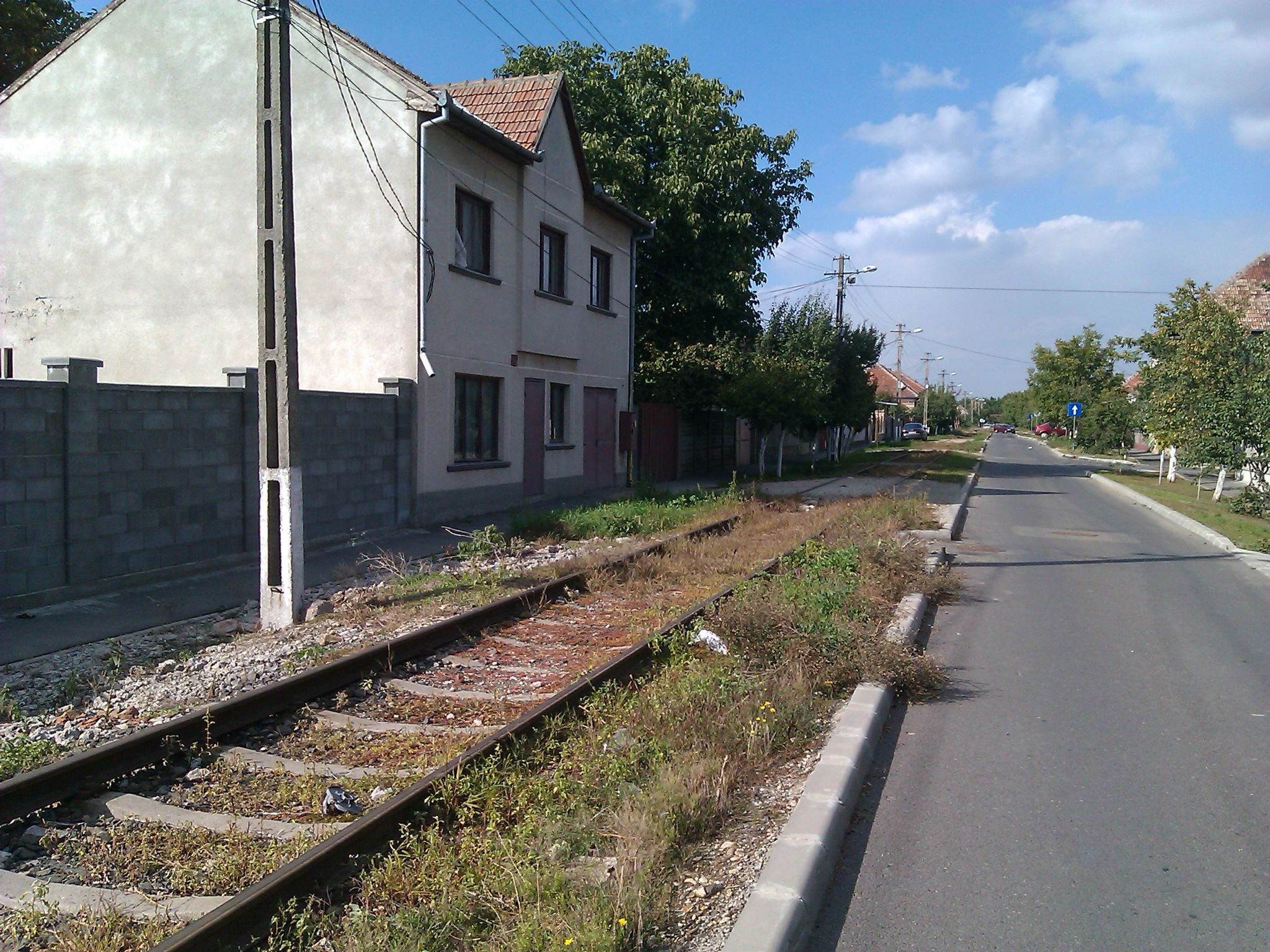 Ar vrea tramvai, dar prin fata caselor le trece trenul. Necazul unor familii de pe o strada din Arad