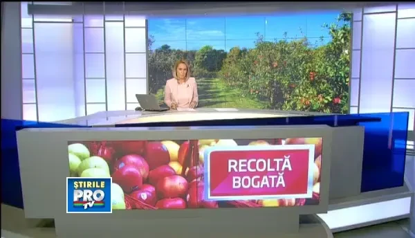 Romania, locul 6 in Europa la productia de mere. Afacerea care aduce un profit garantat