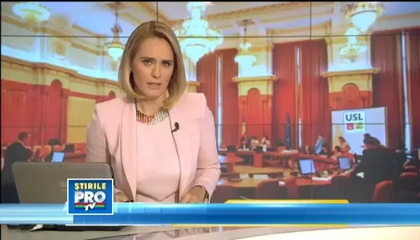 Iliescu, despre situatia din USL: Oameni suntem. Si in familie, sot si sotie, se mai ciondanesc