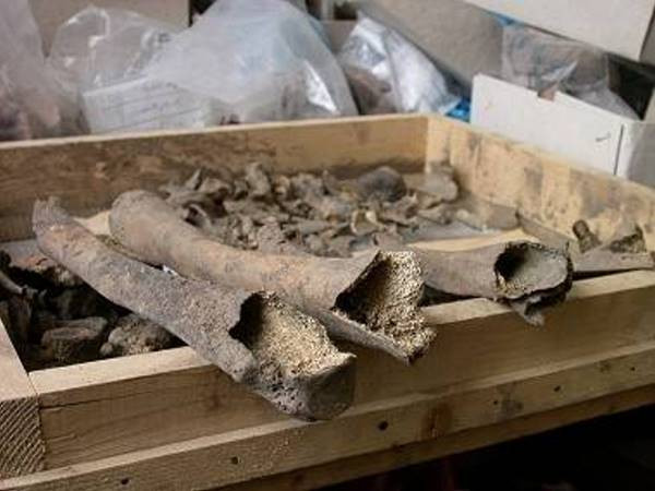 Misterele Tablitelor de la Tartaria: In Transilvania s-au descoperit primele urme ale scrisului omului modern: