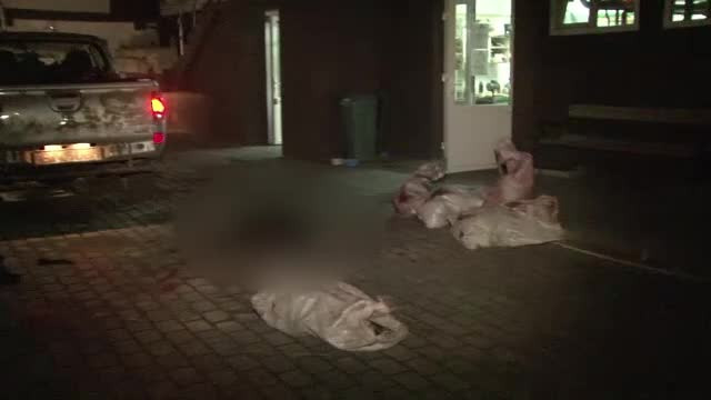 Masacru in padurile din Botosani. Au fost gasite capetele a 6 mistreti, ucisi de braconieri