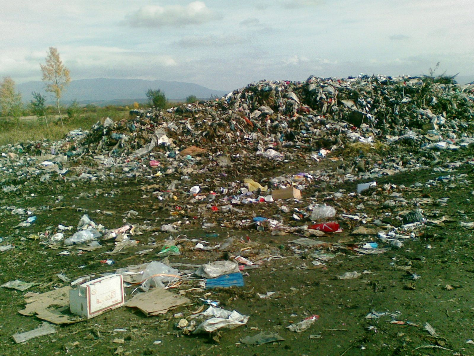 Incineratorul de deseuri din Timisoara are unda verde. A fost semnat contractul de executie