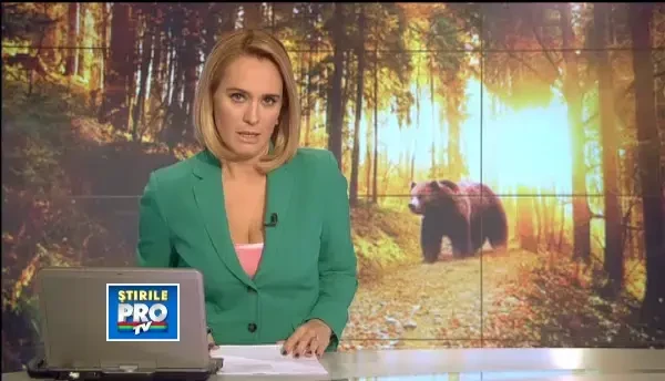 Imagine de cosmar vazuta din telecabina. Un urs musca din cadavrul unui barbat de 64 de ani