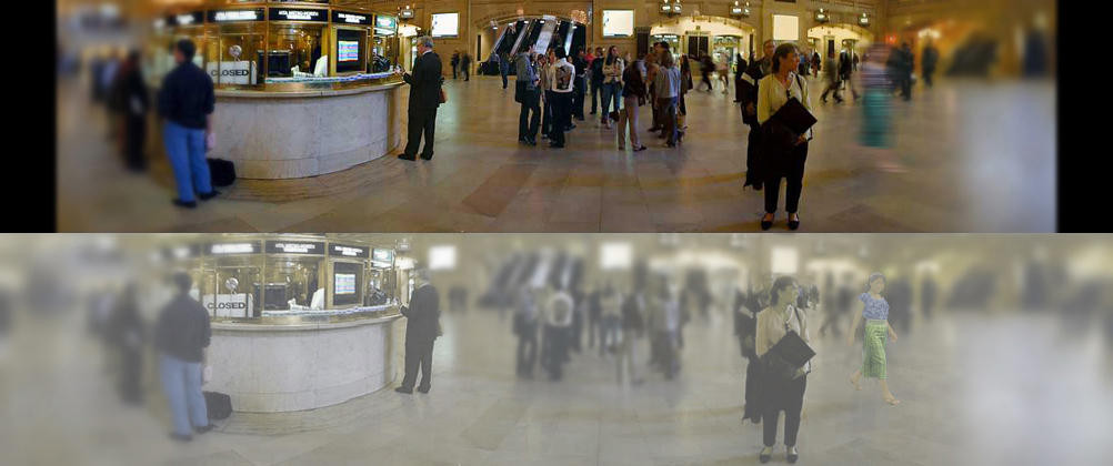 Cum se vede lumea prin ochii unei pisici. FOTO