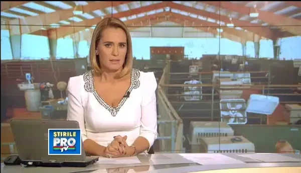 Grecii vor maidanezii din Romania. Zeci de caini au fost adoptati de o fundatie din Grecia