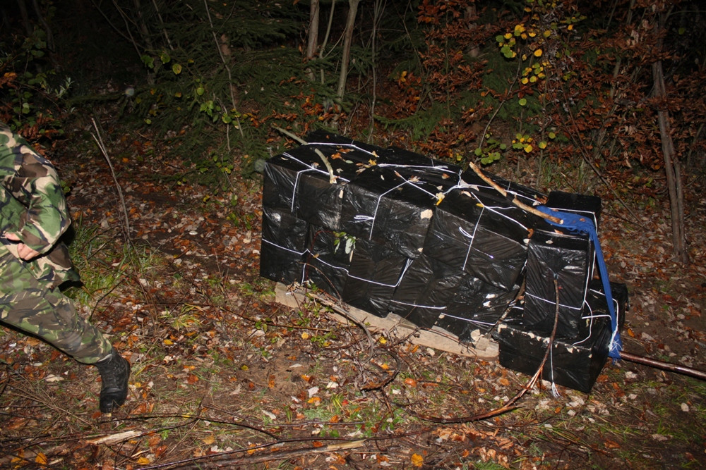 Tigari de contrabanda transportate cu sania in plina toamna