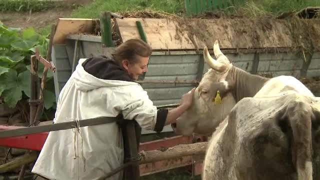Lumea de basm, construita de Ioana Craciunescu din ruine. "Nu iubesc hotelul, nu ma lasa sa visez"