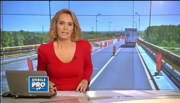 Sistemele automate de mascarea a numerelor prin care soferii evita taxele