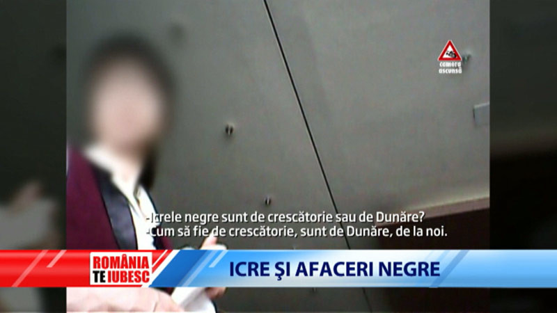 Mafia caviarului in Delta. Pescuitul ilegal, sub nasul celor care trebuie sa impiedice ilegalitatile