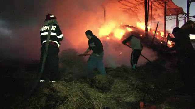 Panica in judetul Mures. Un adapost de animale a fost cuprins de flacari