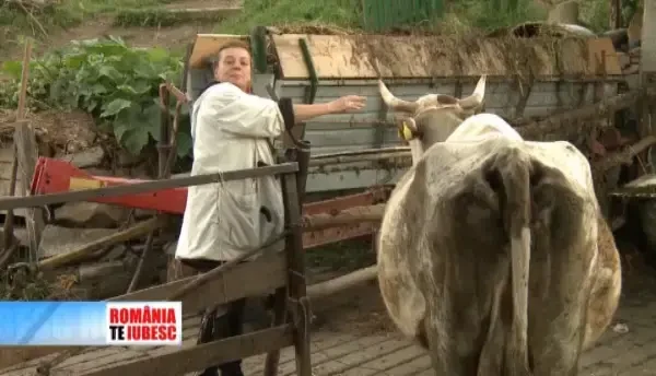 Lumea de basm, construita de Ioana Craciunescu din ruine. Cum incearca actrita sa salveze cetatile vechi ale Transilvaniei