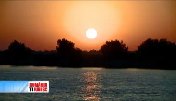 Mafia caviarului din Delta, deconspirata la Romania, Te iubesc