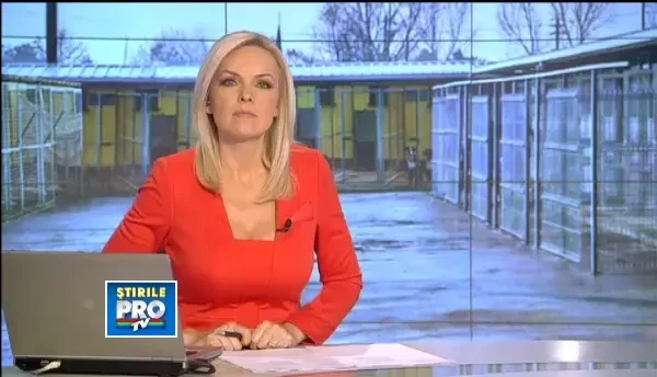 Zeci de maidanezi din Capitala au fost adoptati la un targ sustinut de Printesa de Hohenzollern