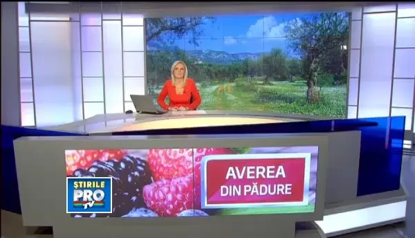 Comoara din padure. Cum au invatat romanii sa castige sute de mii de euro exportand fructe de padure