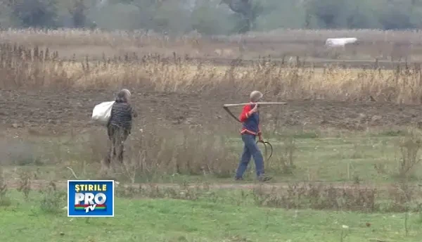 Un tanar de 19 ani a fost batut si injunghiat pentru un sac de porumb