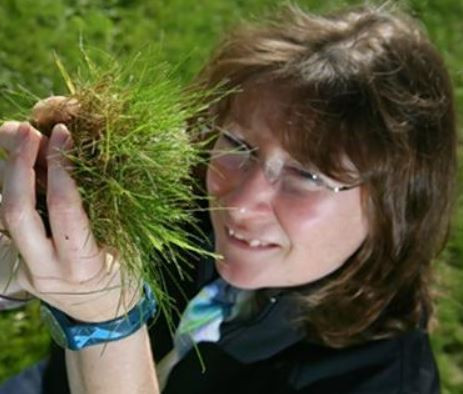 O femeie din Anglia este platita pentru a urmari cum creste iarba