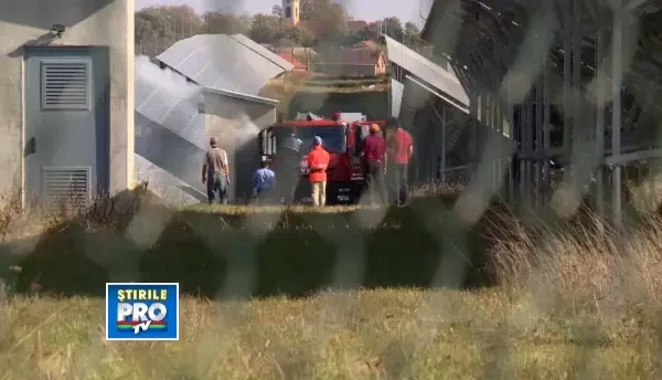 VIDEO. Incendiu la un parc fotovoltaic din Arad. Flacarile se puteau extinde la panourile solare