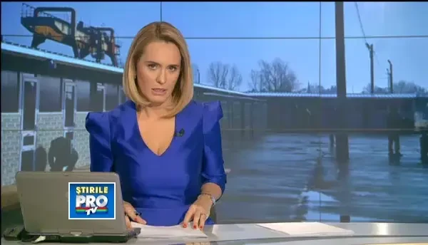 Soarta maidanezilor va fi decisa in curand. Dezbateri pe modul in care vor fi ucisi