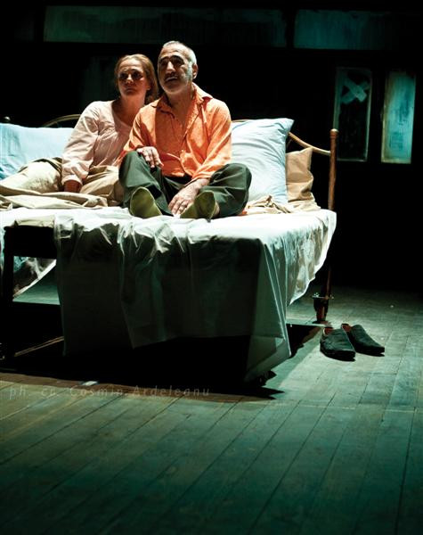 MEŞTEŞUGUL VIEŢII