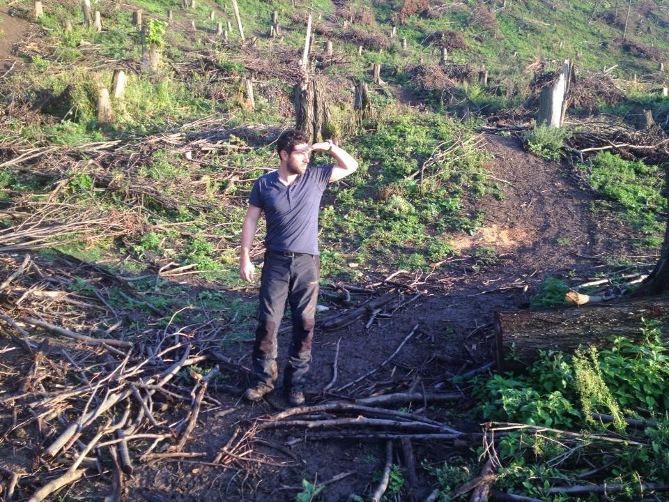 Padurile, puse la pamant de cei platiti sa le pazeasca. Urmareste o noua ancheta "Romania, Te Iubesc", duminica de la 18:00, la ProTV
