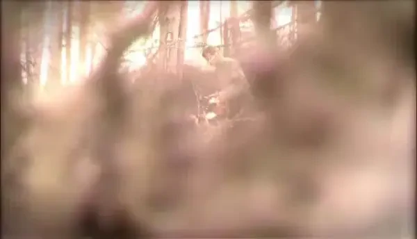 Padurile, puse la pamant de cei platiti sa le pazeasca. Urmareste o noua ancheta Romania, Te Iubesc, duminica de la 18:00, la ProTV