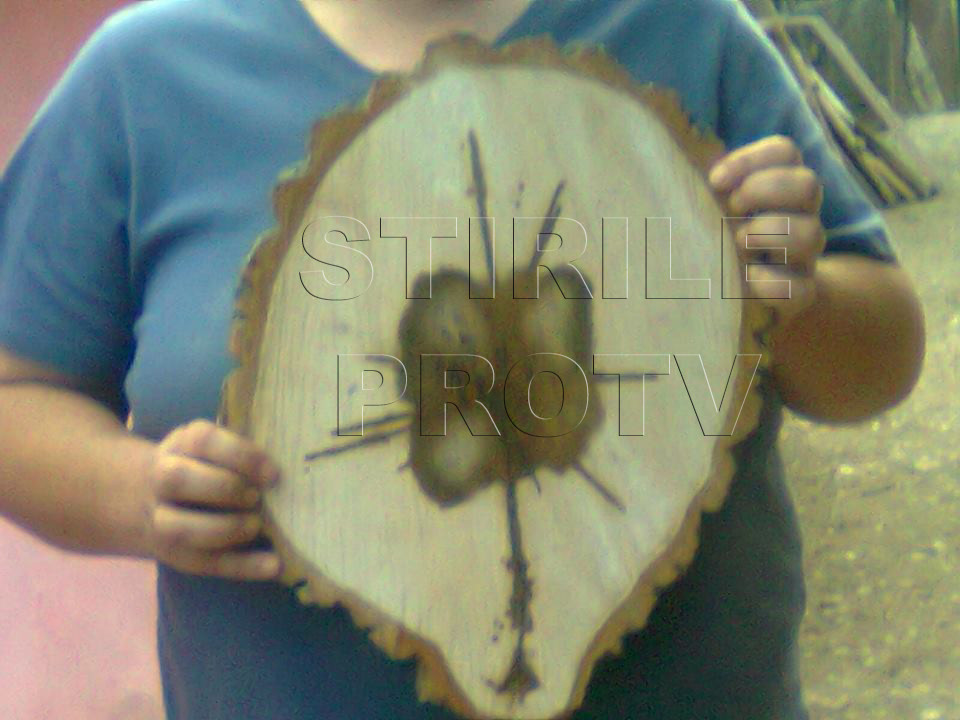 "Minunile" descoperite de acesti romani din Cluj in trunchiul copacului