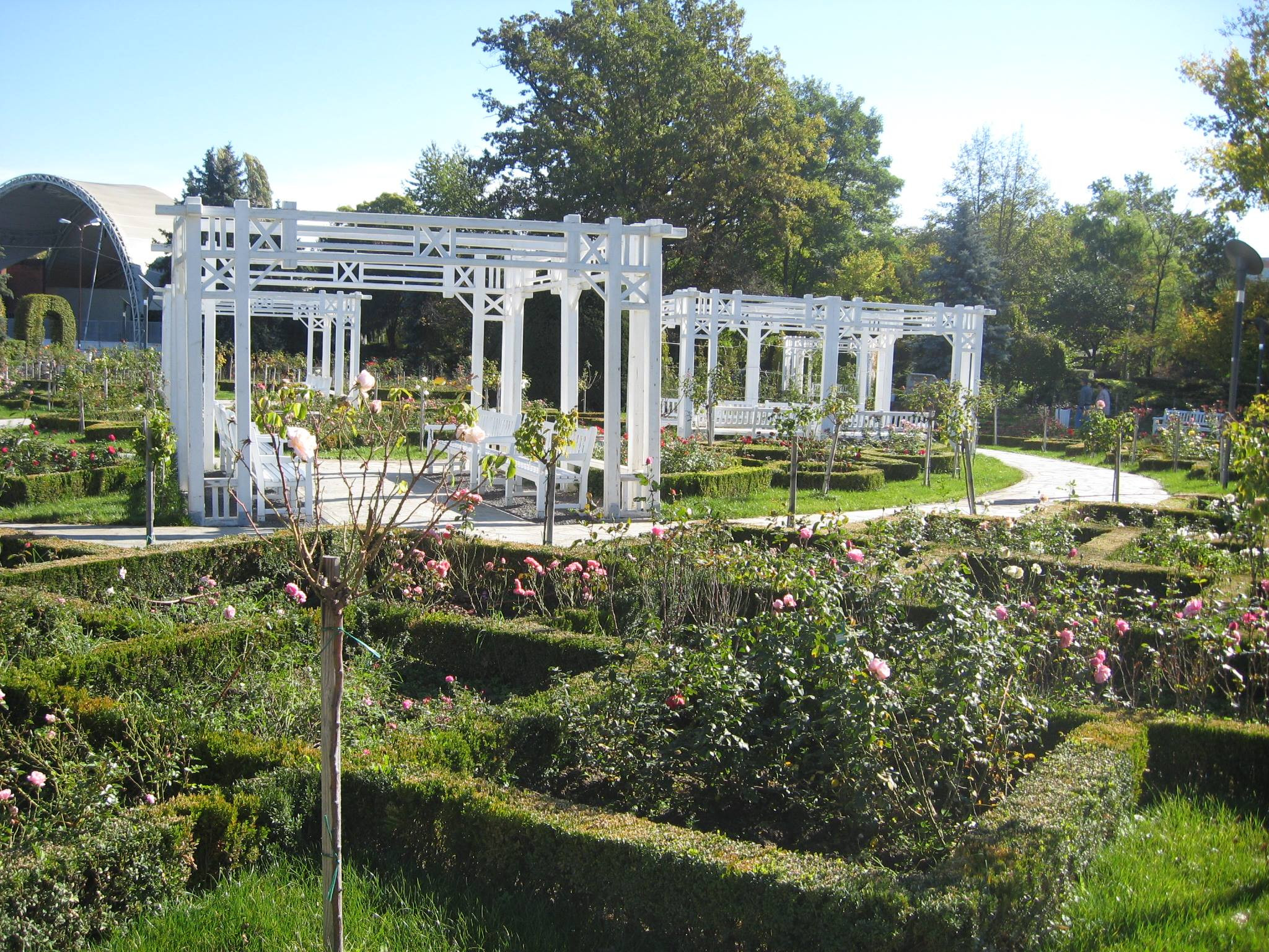 Internetul in parcurile din Timisoara functioneaza in sfarsit! Vezi unde ai acces la wireless