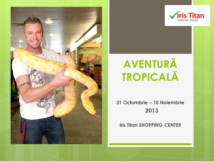 Expozitie