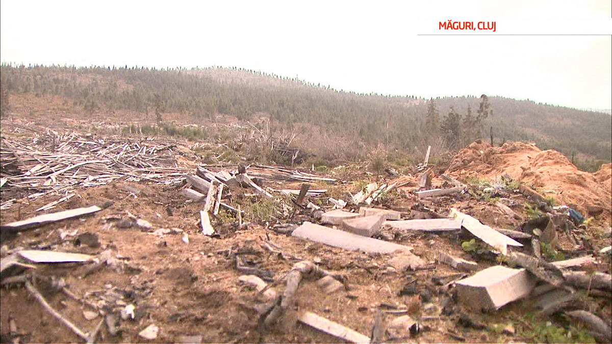 Marea defrisare, 3. In Romania, padurarii sunt oameni care atenteaza la dreptul nostru la mediu si aer curat