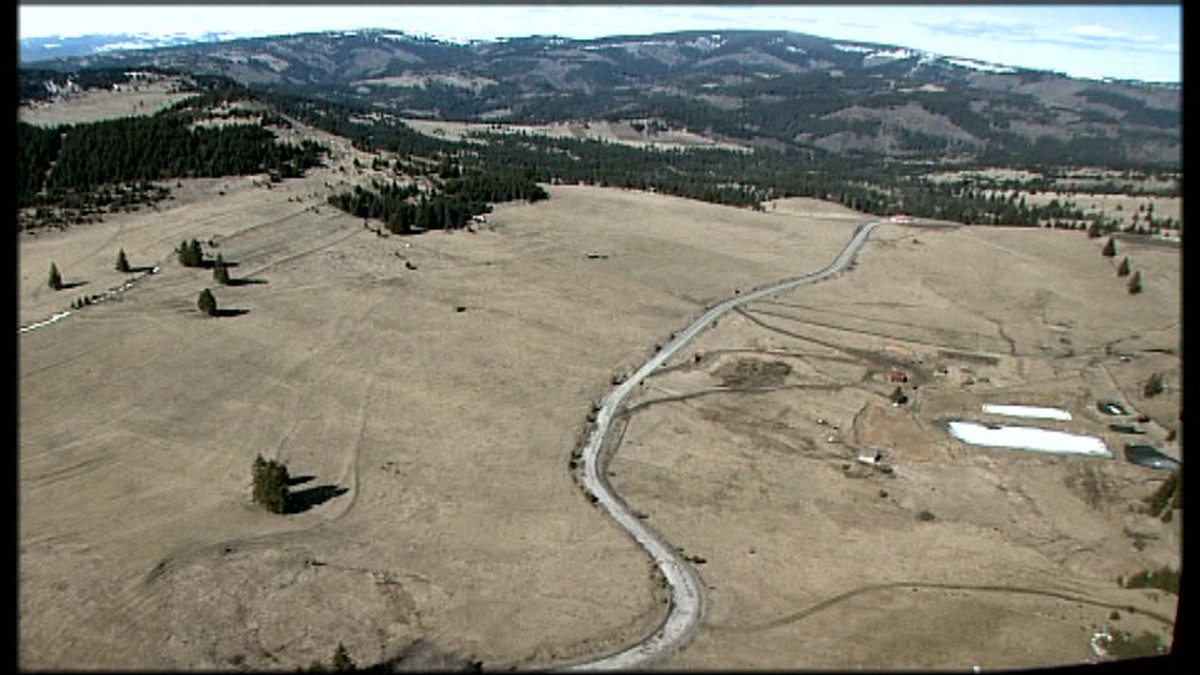 Marea defrisare 1. Cine se pune cu Mafia lemnului este pedepsit!