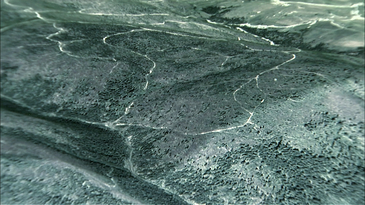 Marea defrisare (2013) - 3