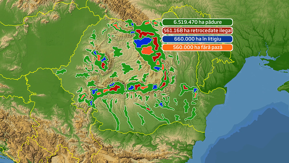 Marea defrisare, 2. Marturiile unui padurar despre MAFIA lemnului din Romania. Cat era spaga pe care o dadea anual
