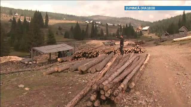 "Romania, te iubesc", acum, pe ProTV. Cine sunt vinovatii pentru dezastrul din paduri