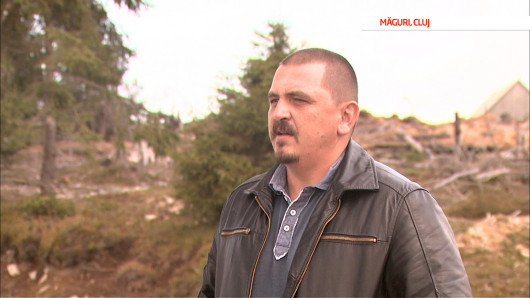 Marturiile unui padurar despre MAFIA lemnului din Romania. Cat era spaga pe care o dadea anual