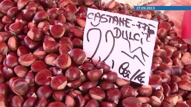 Castanii romanesti vor fi salvati de la disparitie cu ajutorul fondurilor europene