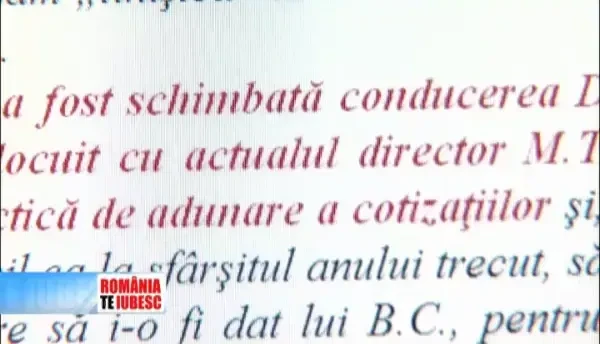 Marea defrisare, 3. In Romania, padurarii sunt oameni care atenteaza la dreptul nostru la mediu si aer curat