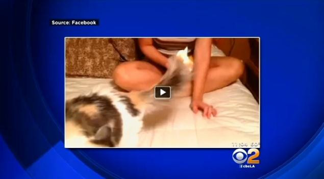 Femeie arestata dupa ce si-a incendiat pisica si a pus filmarea pe Facebook