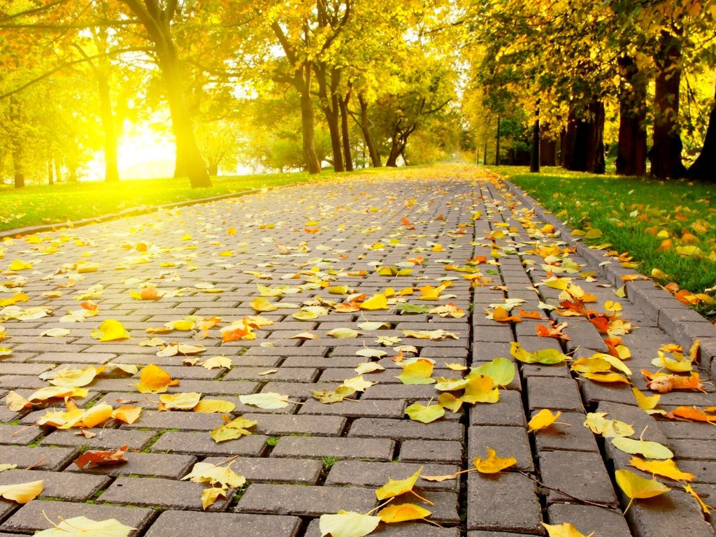 Vreme frumoasa si temperaturi ridicate pana miercuri. De joi vom avea maxime de cel mult 14 grade