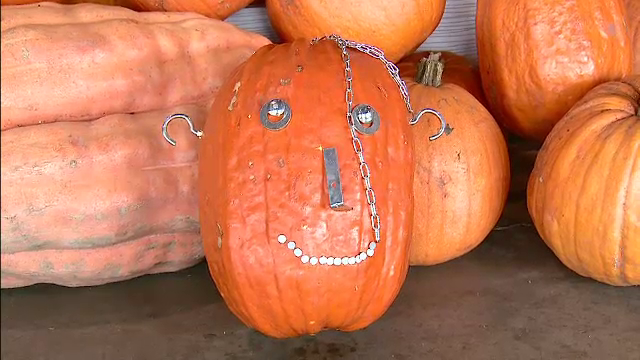 Romanii fac ultimele pregatiri pentru seara de Halloween. Cu cat s-au vandut dovlecii in Capitala