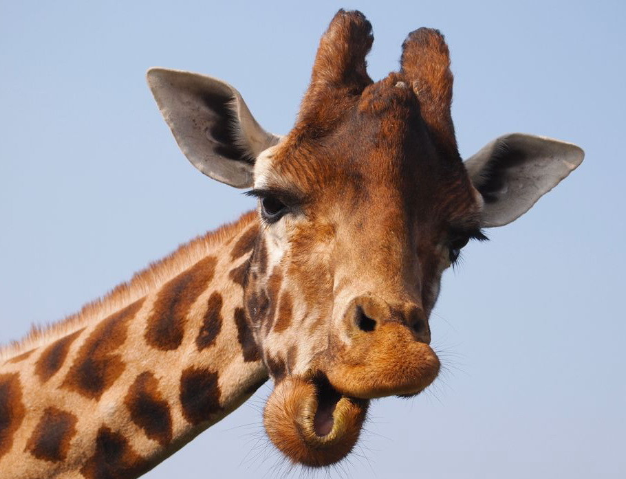 Ghicitoarea celor de la Facebook a dat batai de cap utilizatorilor. Ce au trebuit sa faca